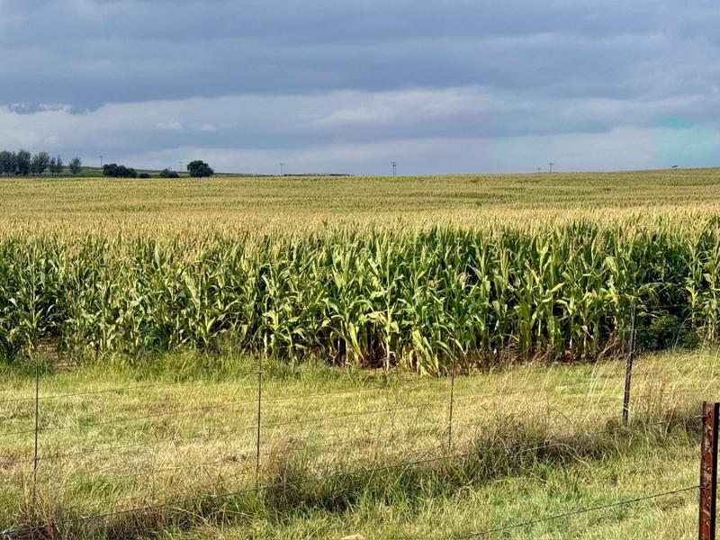 0 Bedroom Property for Sale in Harrismith Free State